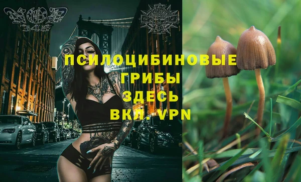 скорость Абаза