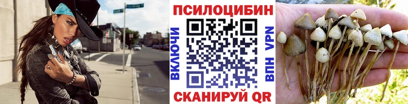 сколько стоит  Североморск  Псилоцибиновые грибы ЛСД 